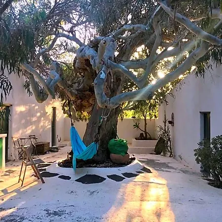 Patio Ii At Oda ve Kahvaltı